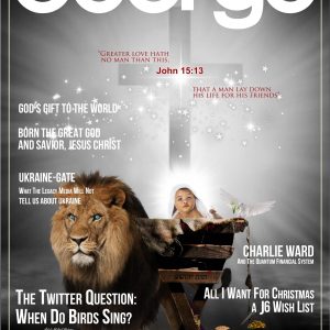 GEORGE, Version 2.0, Issue 3